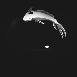 Meet your Posher, Timtim